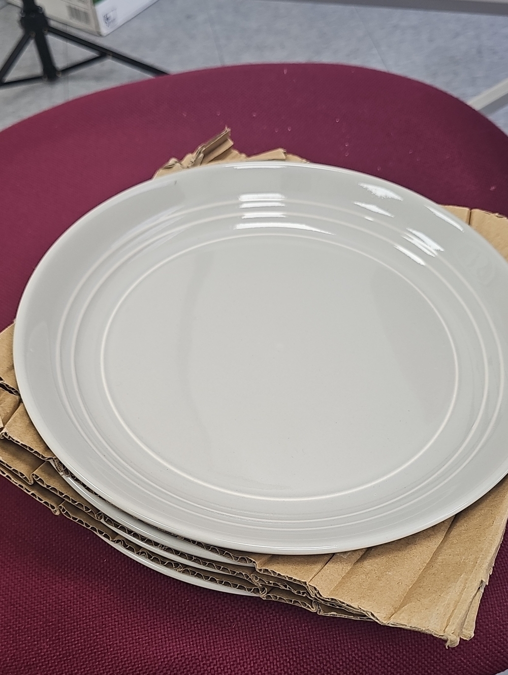 Threshold Cream Glazed Dinner Plate with Concentric Rim Set Of 4